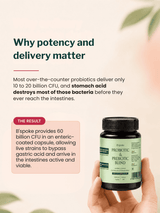 B'Spoke Probiotic & Prebiotic Blend (30 Capsules)