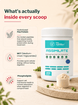 FM Nutrition Hydrolysed Plant Protein (300 gm)