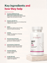 Autoimmunity Care Digest All Care (30 Capsules)