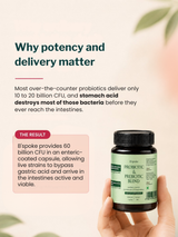 B'Spoke Probiotic & Prebiotic Blend 60B CFU (60 Capsules)