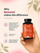 Canazzo Liposomal Berberine 98% HCL+ (30 Capsules)