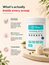 FM Nutrition Hydrolysed Plant Protein, Unflavoured (300 gm)