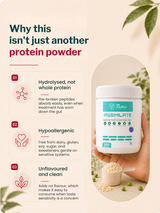 FM Nutrition Hydrolysed Plant Protein, Unflavoured (300 gm)