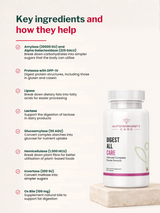 Autoimmunity Care Digest All Care (30 Capsules)